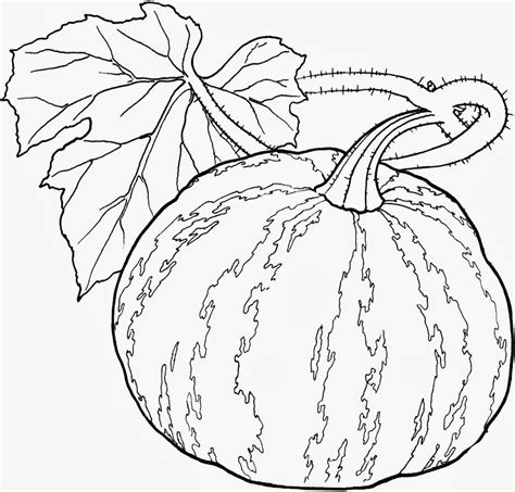 Vegetables Coloring Pages - Kidsuki