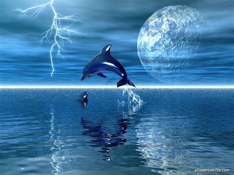 Free Live Wallpaper of Dolphins - WallpaperSafari