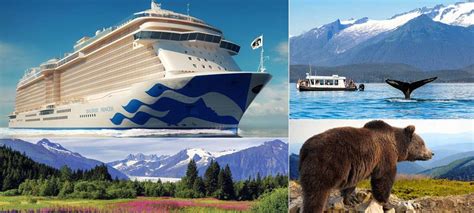 Discovery Princess Cruise | Princess Cruises | Cruises to Alaska | Princess Alaska Cruises ...