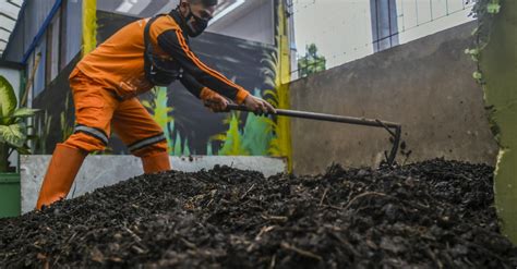 Cara Mengolah Sampah Organik: Jadi Pakan Ternak hingga Pupuk Kompos