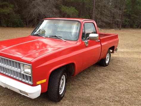 1981 Chevrolet C10 Custom Deluxe - Classic Car - Jesup, GA 31545