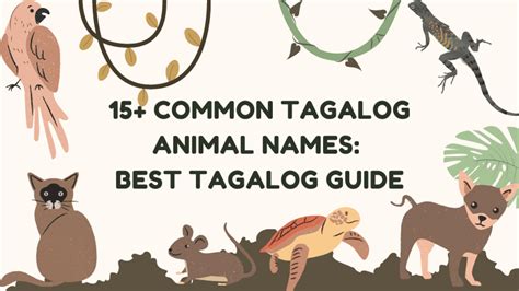 15+ Common Tagalog Animal Names: An Easy List - Ling App