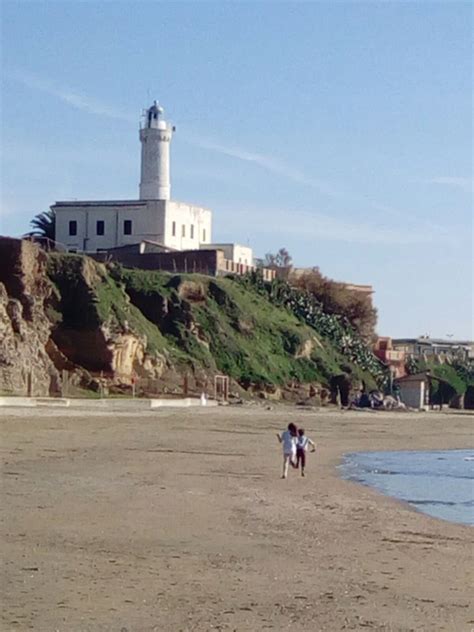 Life's A Beach. The Driftwood Lectures... : ANZIO BEACH, ITALY, 23 12 16 Beach number 64 for the ...