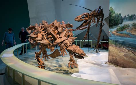 The ROM’s New Rock Star: Meet Zuul the Dinosaur, Destroyer of Shins | Paleontology World