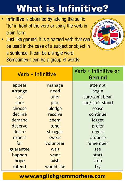 What is Infinitive? Definitions, Examples and Verb + Infinitive List ...