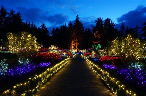 Christmas lights at Shore Acres State Park | Southern oregon coast, Southern oregon, Oregon coast