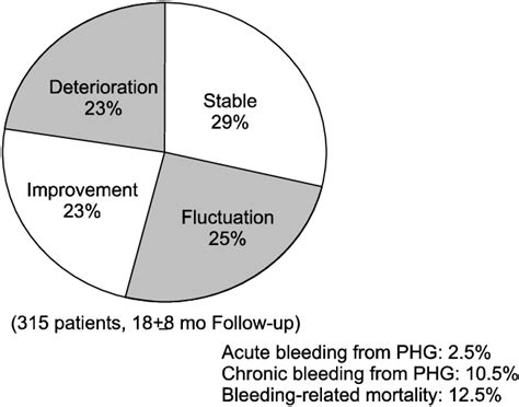 Natural history of portal hypertensive gastropathy. PHG, portal... | Download Scientific Diagram