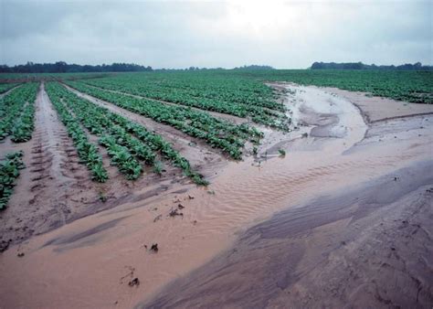 EPA Encourages Market-Based Approach To Reduce Great Lakes Runoff | WBAA