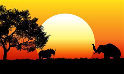 African safari scene at sunset | Safari scene, Landscape silhouette, African safari
