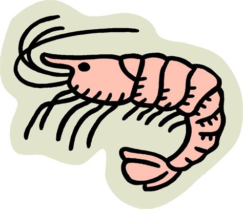 Download High Quality shrimp clipart border Transparent PNG Images ...