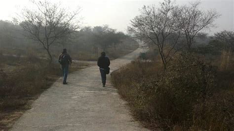 Gurugram: Aravali Biodiversity Park - Great Runs