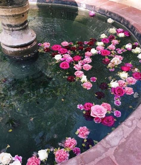 pink and white flowers floating in water next to a stone fountain with ...