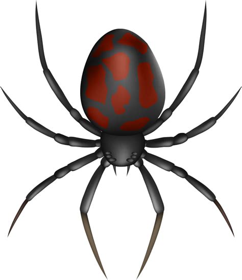 3d realistic spider Car Decal - TenStickers