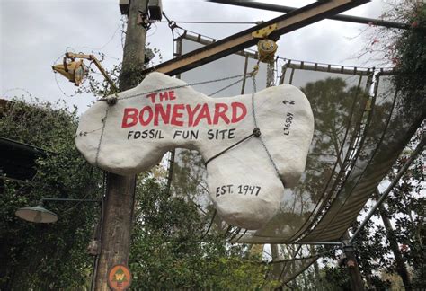 The Boneyard is the perfect place to let your kids run free! | Kids running, Kids, Disney package