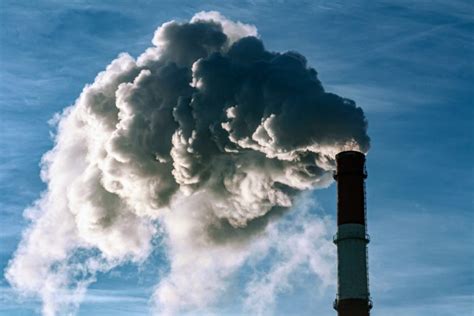 One in five premature deaths tied to fossil fuel pollution • Earth.com