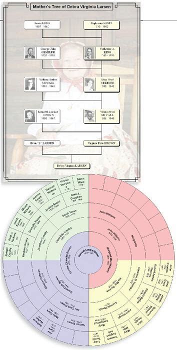 Legacy Family Tree 7 Software Review