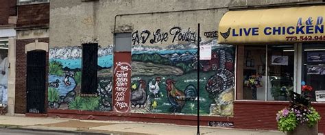 Little Village murals: At 26th and Ridgeway, a dazzling display of ...