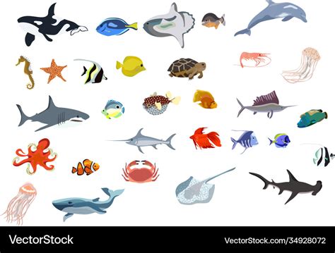 Set many sea creatures different kind sea Vector Image