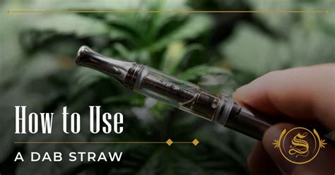 How To Use A Dab Straw: 7 Steps To Ace It Like A Pro - The Sanctuary