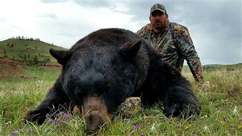 Montana Black Bear Rifle Hunt with Matt Light - MossBack - YouTube