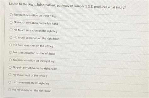 Solved Lesion to the Right Spinothalamic pathway at Lumbar 1 | Chegg.com