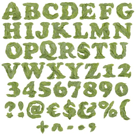 Cooper Leaf Font - Green OpenType Alphabet | Handmadefont.com