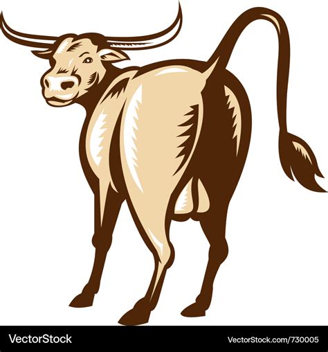 Texas longhorn bull Royalty Free Vector Image - VectorStock