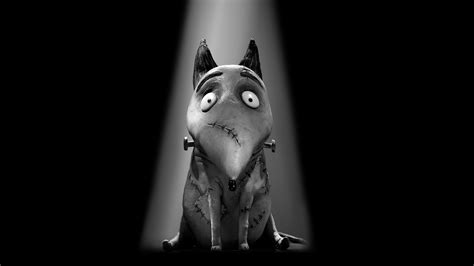 Frankenweenie on Disney+ United Arab Emirates | English Spanish (Latin ...