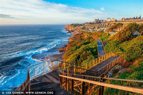 Bondi to Coogee Coastal Walk at Sunrise #1, Bronte, Sydney, NSW ...