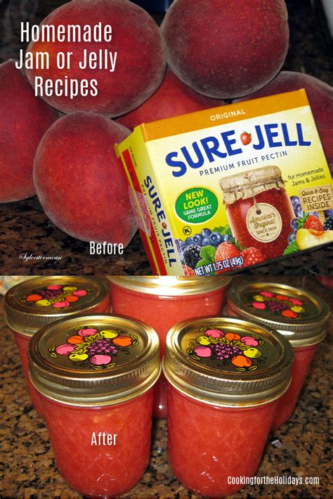 Muscadine Jelly Recipe With Sure Gel | Bryont Blog