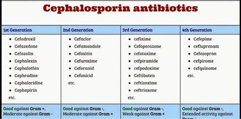 Cephalosporin antibiotics - MEDizzy