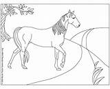 Christmas Horse Coloring Pages  Home sketch template