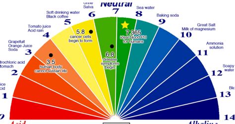 How To Test Ph Levels In Blood: A Comprehensive Guide • Suggested and Clear Explanation of ...