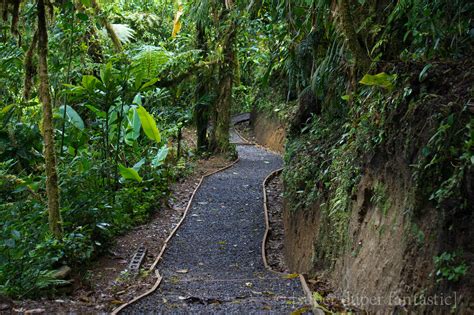 Santa Elena Cloud Forest Reserve - Monteverde - [Super Duper Fantastic]