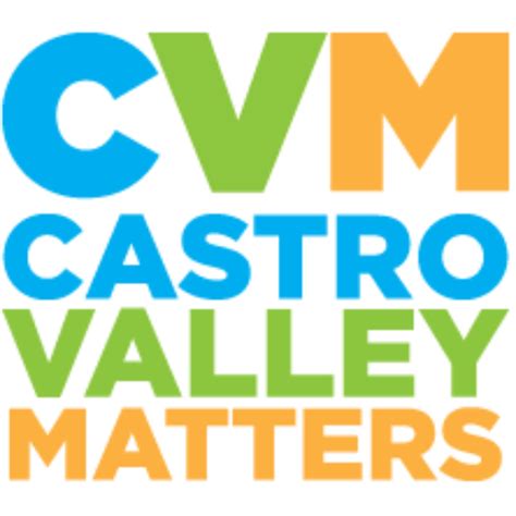 Castro Valley Unified School Board Candidate Statements – Castro Valley Matters