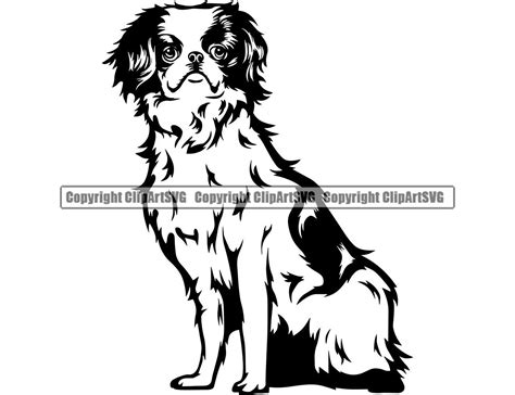 Shih tzu dog beg begging breed happy paw puppy pup pet art k 9 maltese ...