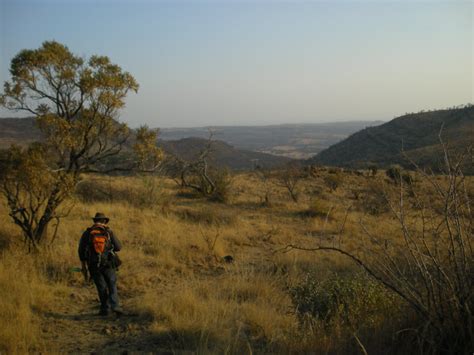 "Cradle of Humankind" fossils can now be dated