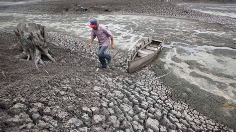 Flood And Drought Fears Over 'Strong' El Nino | World News | Sky News