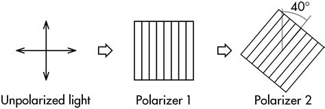 P-dog's blog: boring but important: Physics quiz question: unpolarized ...