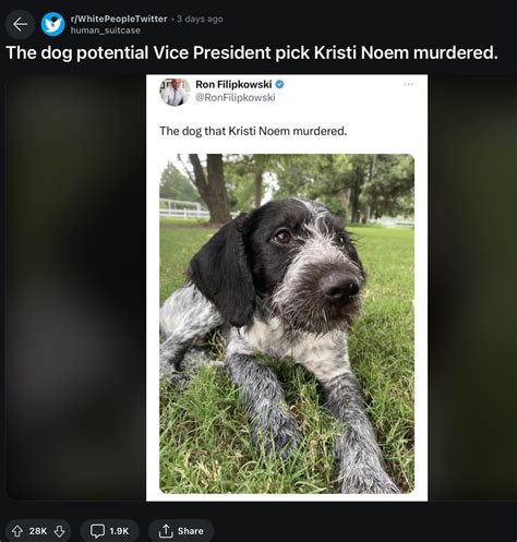 /r/WhitePeopleTwitter | Kristi Noem Dog Killing Controversy | Know Your ...