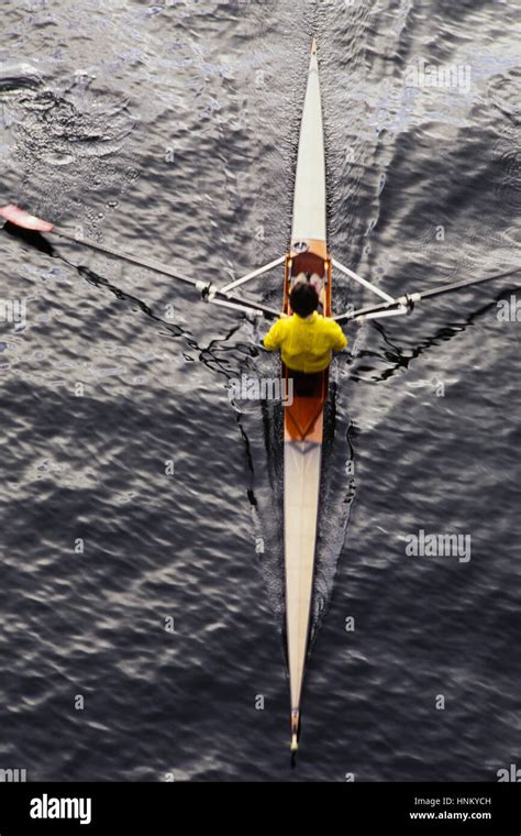 A man sculling in a single scull rowing boat, on the water. Overhead view Stock Photo - Alamy