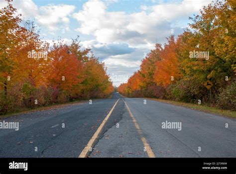 Fall foliage Mont-Saint-Bruno, Quebec, Canada Stock Photo - Alamy