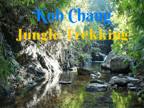 Jungle Trekking on Koh Chang - Discover the Best Treks on the island