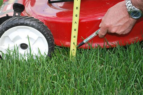 Lawn Mowing Tips | Nutri-Lawn