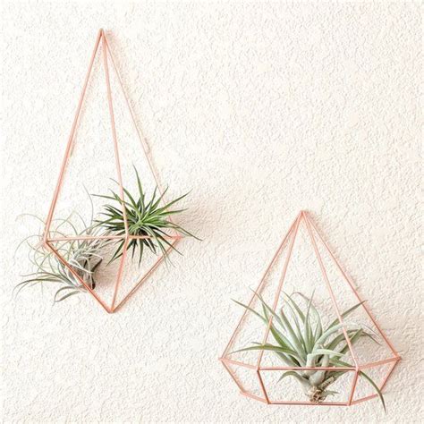 Geometric Himmeli Style Air Plant Prism Air Plant Wall Holders | Etsy | Plant wall, Air plants ...