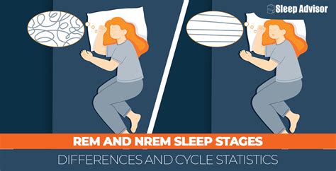 REM and NREM Sleep Stages: Differences and Cycle Statistics - Sleep Advisor