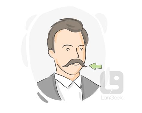 Definition & Meaning of "Mustache" | LanGeek