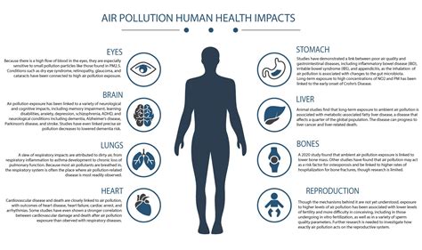 How does Air Pollution affect Human Health? | Clarity