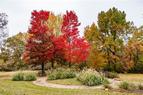 Gardens - Gilcrease Museum