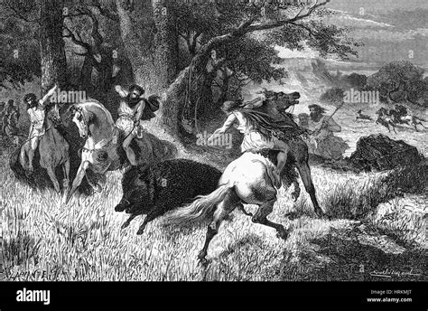 Paleolithic Animals Hunted